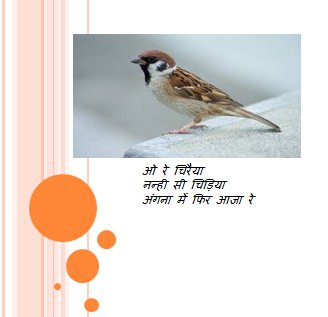 Sparrow