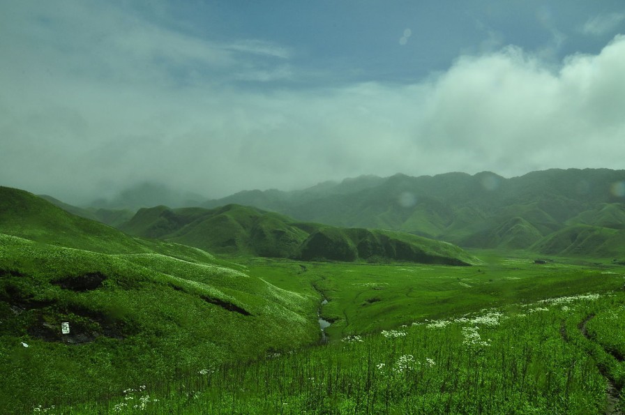 Dzukou Valley Nagaland